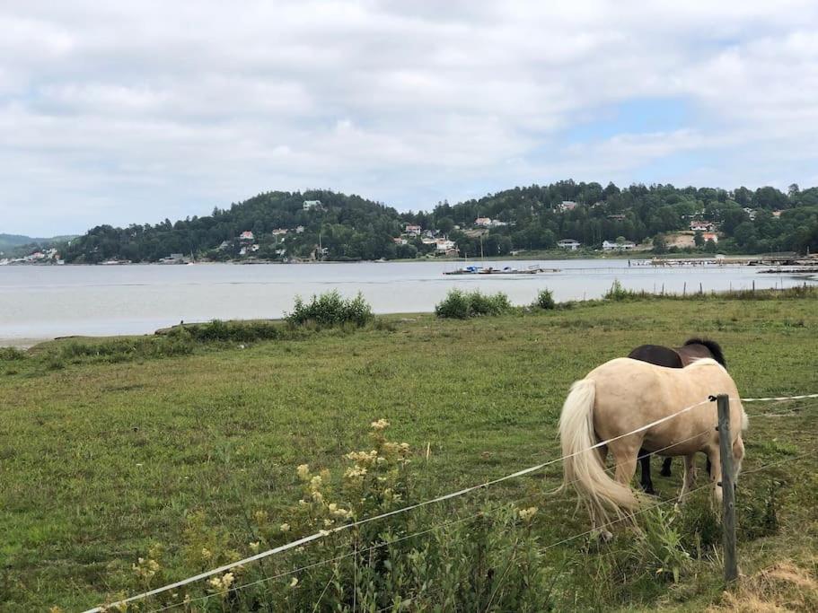 Apartment Right Next To The Golf Course And With The Ocean Just Around The Corner Ljungskile Esterno foto